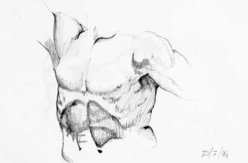 Torso