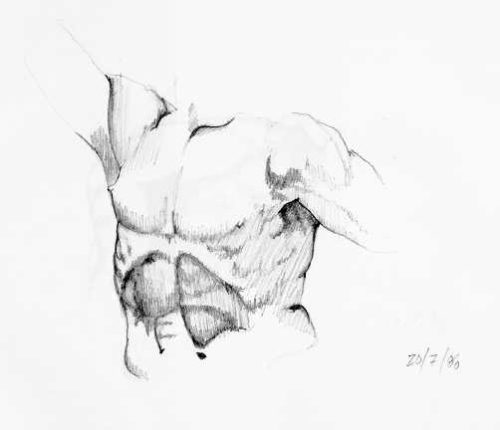 Torso